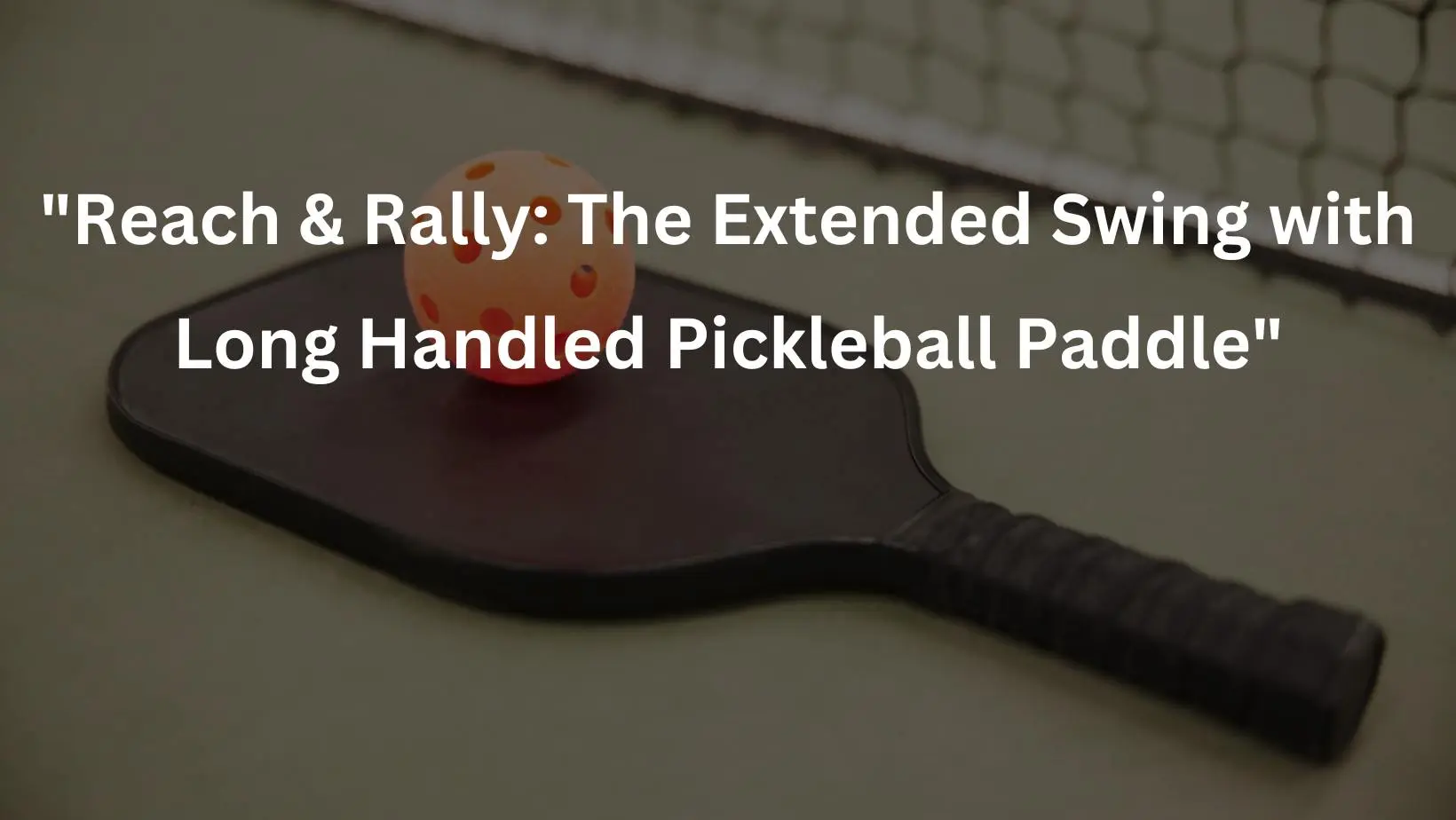 Long Handled Pickleball Paddle